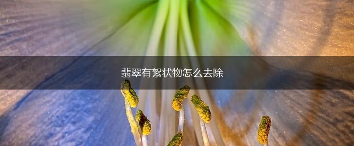 翡翠有絮状物怎么去除,第1张