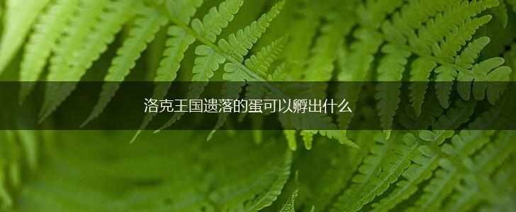 洛克王国遗落的蛋可以孵出什么,第1张