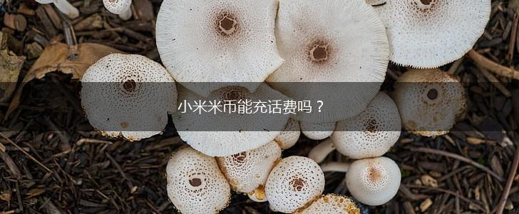 小米米币能充话费吗？,第1张