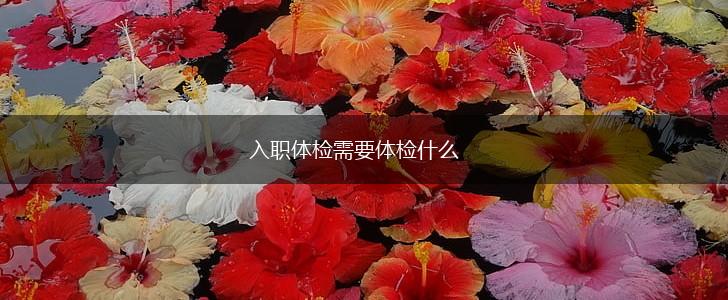 入职体检需要体检什么,第1张