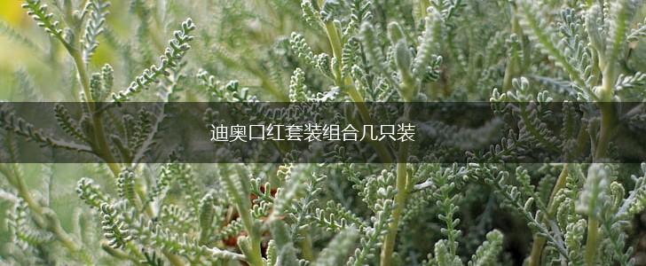 迪奥口红套装组合几只装,第1张 迪奥口红套装组合几只装,第1张