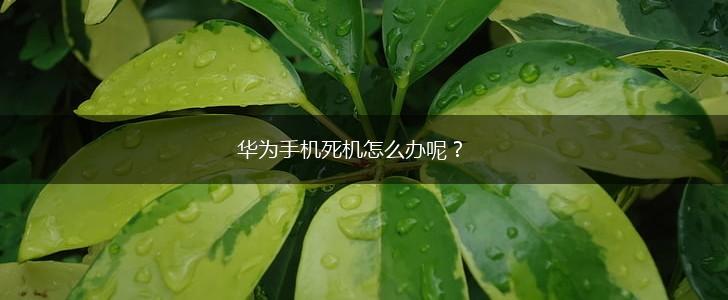华为手机死机怎么办呢？,第1张
