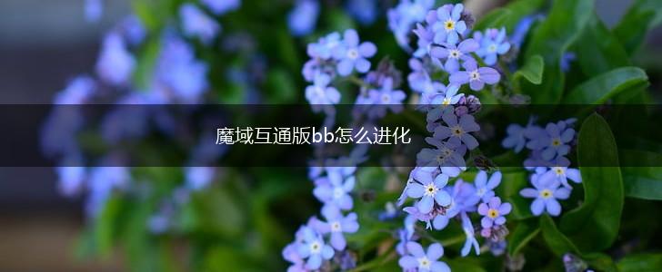 魔域互通版bb怎么进化,第1张