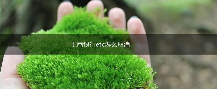 工商银行etc怎么取消,第1张
