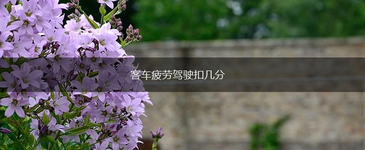 客车疲劳驾驶扣几分,第1张