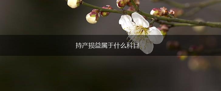 持产损益属于什么科目,第1张