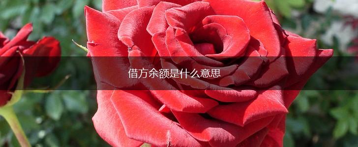 借方余额是什么意思,第1张