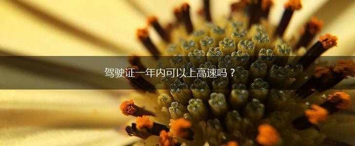 驾驶证一年内可以上高速吗？,第1张