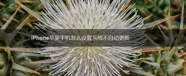 iPhone苹果手机怎么设置系统不自动更新,第1张