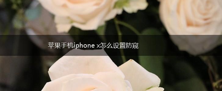 苹果手机iphone x怎么设置防窥,第1张