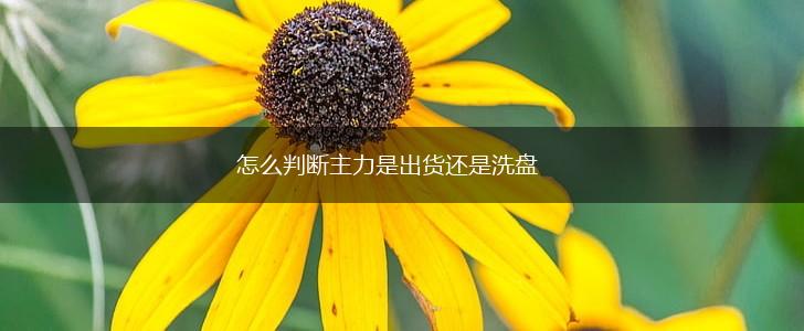 怎么判断主力是出货还是洗盘,第1张