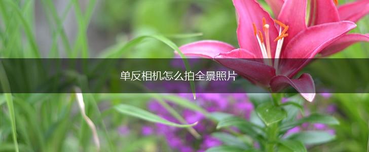 单反相机怎么拍全景照片,第1张