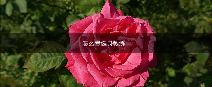 怎么考健身教练,第1张