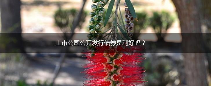上市公司公开发行债券是利好吗?,第1张 上市公司公开发行债券是利好吗?,第1张