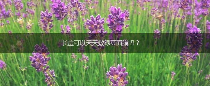 长痘可以天天敷绿豆面膜吗？,第1张