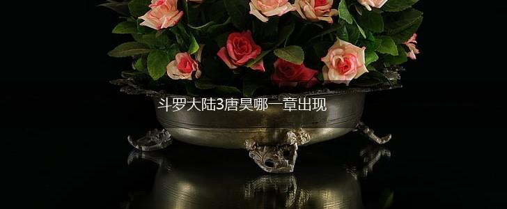 斗罗大陆3唐昊哪一章出现,第1张
