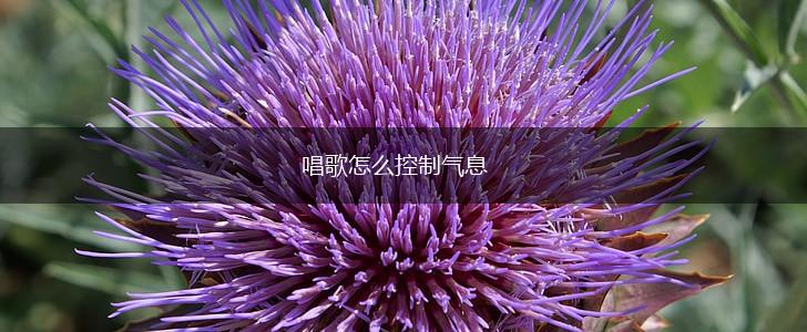 唱歌怎么控制气息,第1张