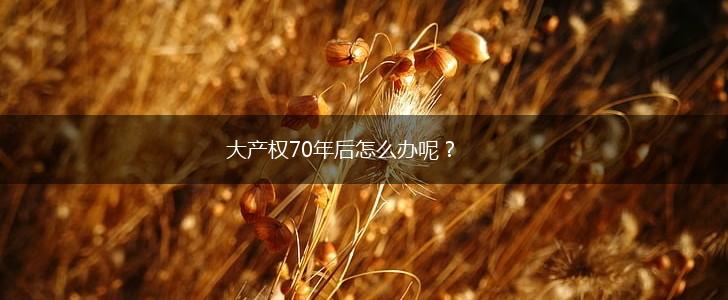 大产权70年后怎么办呢？,第1张