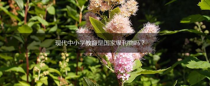 现代中小学教育是国家级刊物吗？,第1张