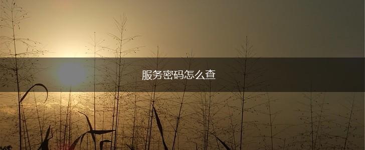 服务密码怎么查,第1张