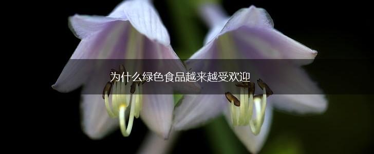 为什么绿色食品越来越受欢迎,第1张 为什么绿色食品越来越受欢迎,第1张