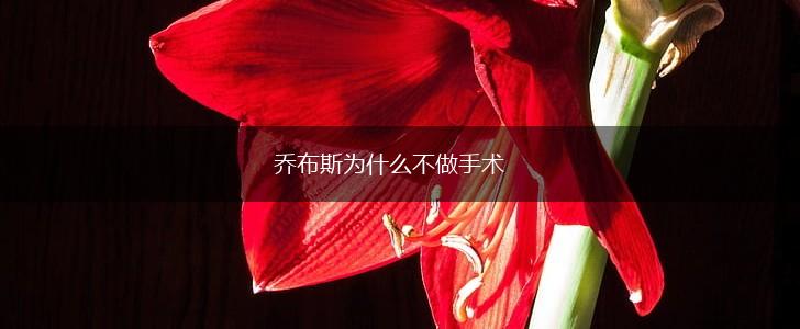 乔布斯为什么不做手术,第1张