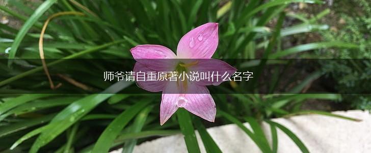 师爷请自重原著小说叫什么名字,第1张