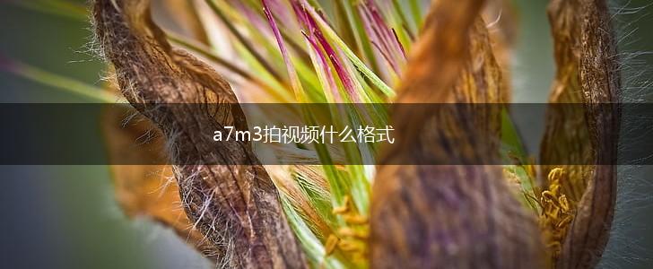 a7m3拍视频什么格式,第1张