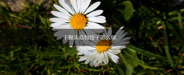 干猴头菇包饺子怎么做,第1张