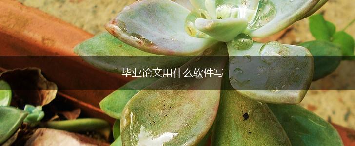 毕业论文用什么软件写,第1张