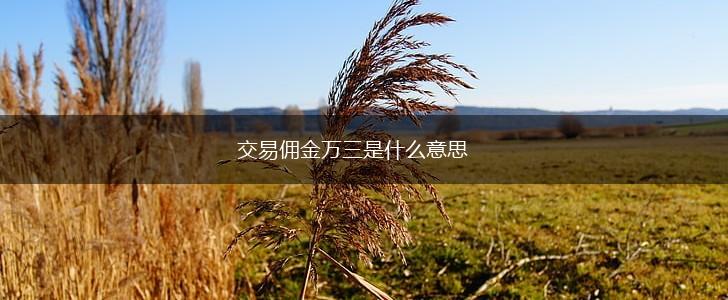 交易佣金万三是什么意思,第1张