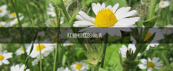 红糖松糕的做法,第1张