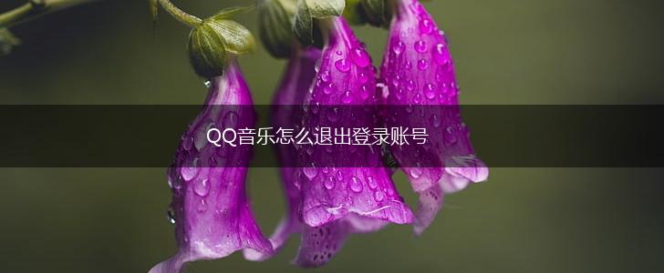 QQ音乐怎么退出登录账号,第1张