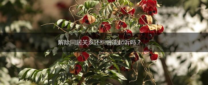 解除同居关系还纠缠能起诉吗？,第1张