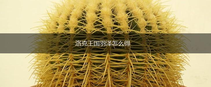 洛克王国羽泽怎么得,第1张