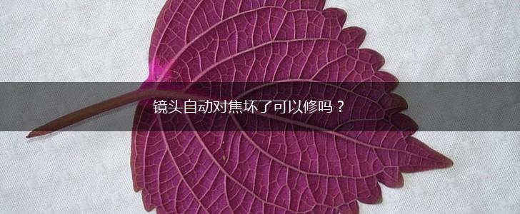 镜头自动对焦坏了可以修吗？,第1张