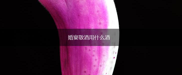 婚宴敬酒用什么酒,第1张