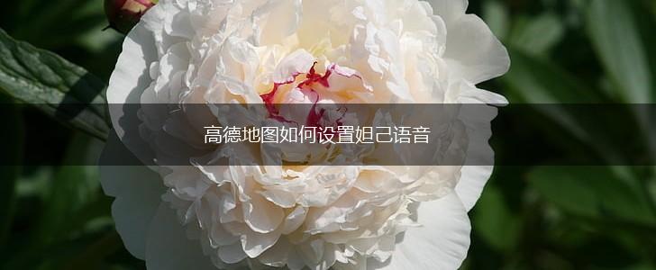 高德地图如何设置妲己语音,第1张