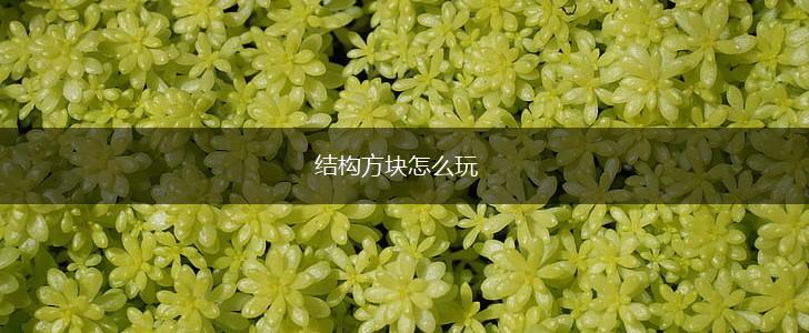 结构方块怎么玩,第1张