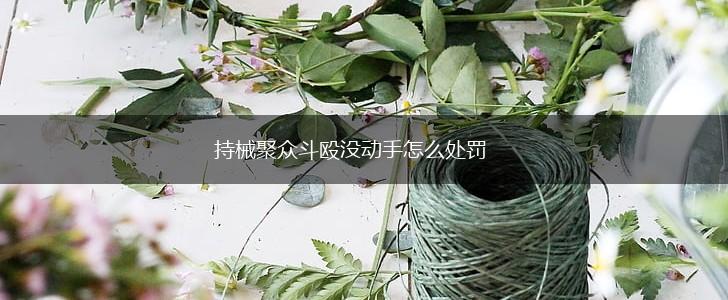 持械聚众斗殴没动手怎么处罚,第1张