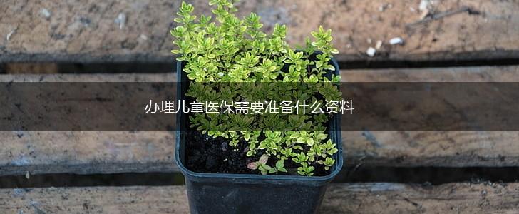办理儿童医保需要准备什么资料,第1张