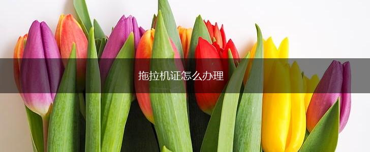 拖拉机证怎么办理,第1张