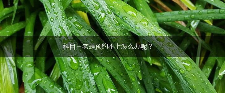 科目三老是预约不上怎么办呢？,第1张