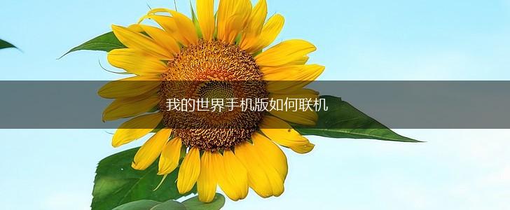 我的世界手机版如何联机,第1张