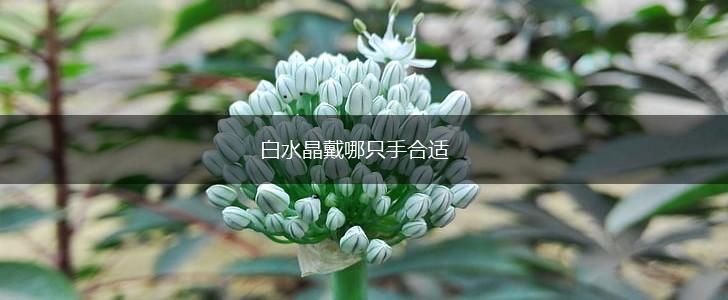 白水晶戴哪只手合适,第1张