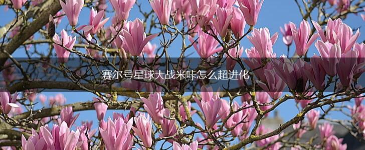 赛尔号星球大战米咔怎么超进化,第1张
