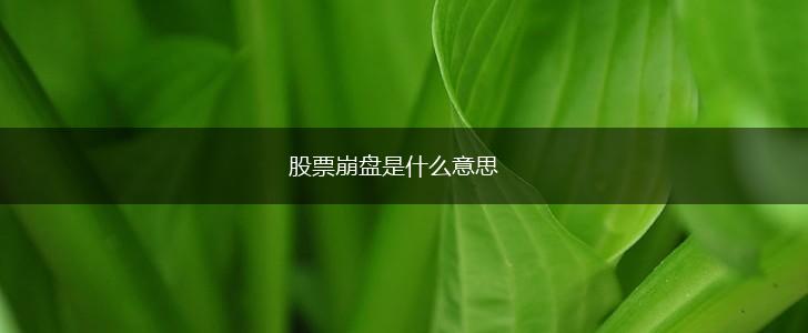 股票崩盘是什么意思,第1张