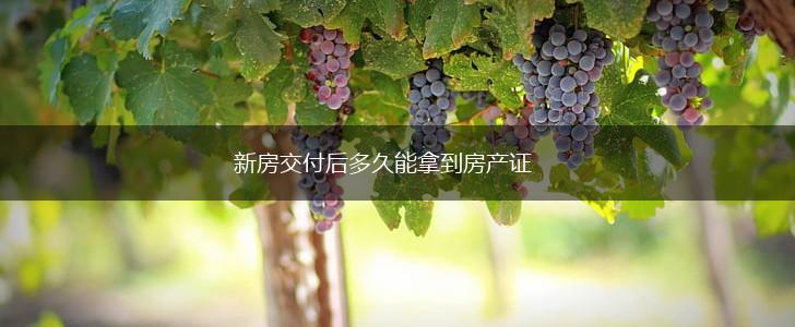 新房交付后多久能拿到房产证,第1张