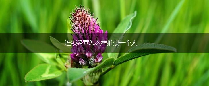 连锁经营怎么样推崇一个人,第1张