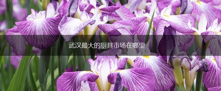 武汉最大的厨具市场在哪里,第1张